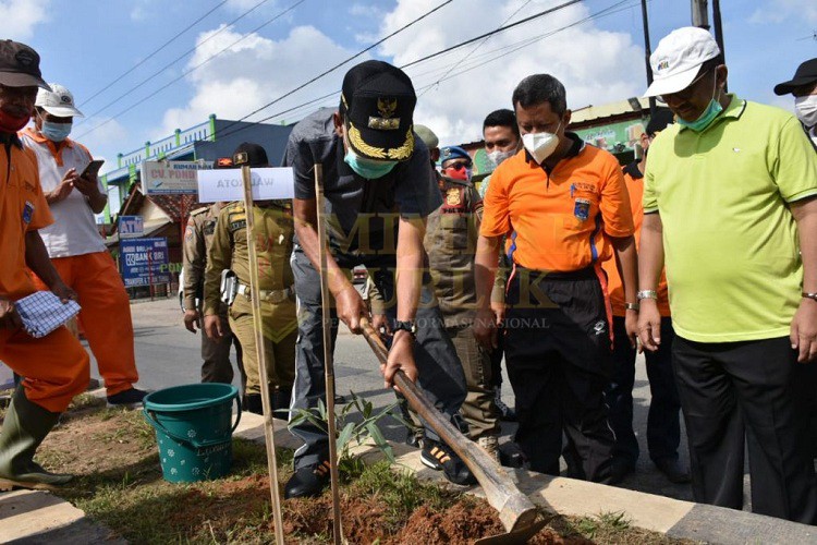 Achmad Pairin Pimpin Gerakan Hari Menanam Pohon Indonesia (HMPI) di Median Jalan