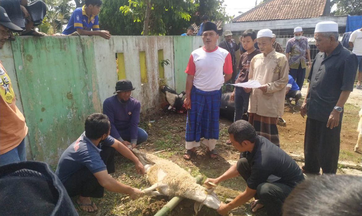 Potong 2 Ekor Sapi dan 10 Kambing, Kades Cipelang Salurkan 500 Paket Daging Kurban