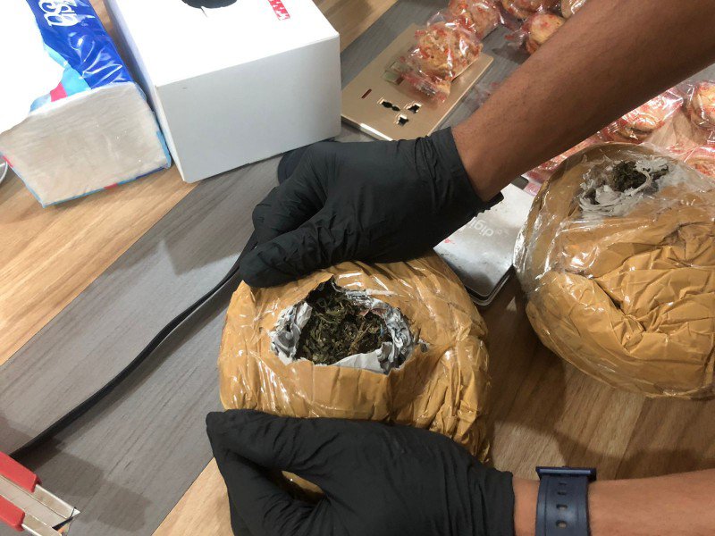 Tim Cyber Crawling Bea Cukai Batam Kembali Gagalkan Penyeludupan 765 Gram Ganja