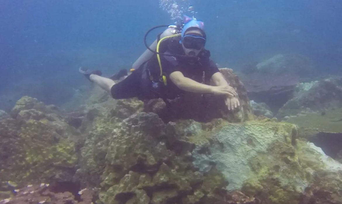 Diving di Pulau Tenggol, Laut China Selatan