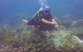Diving di Pulau Tenggol, Laut China Selatan