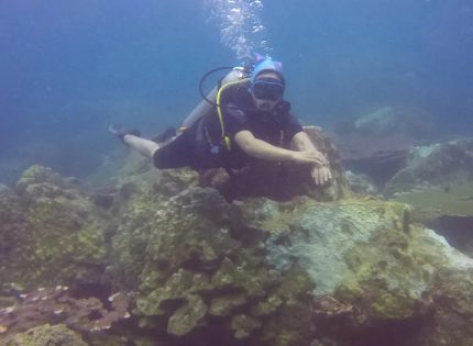 Diving di Pulau Tenggol, Laut China Selatan